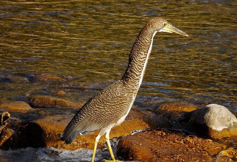 Резиденция Portal De Piedra