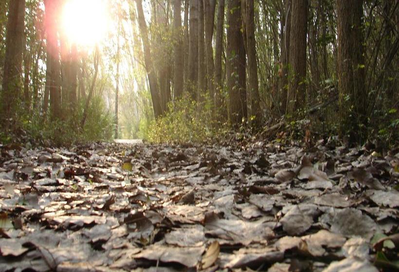 إقامة Reserva La Juana Ecolodge