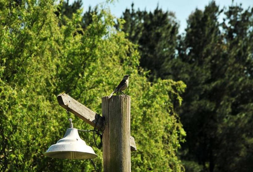 استراحتگاه Cabañas Posada Del Tigre