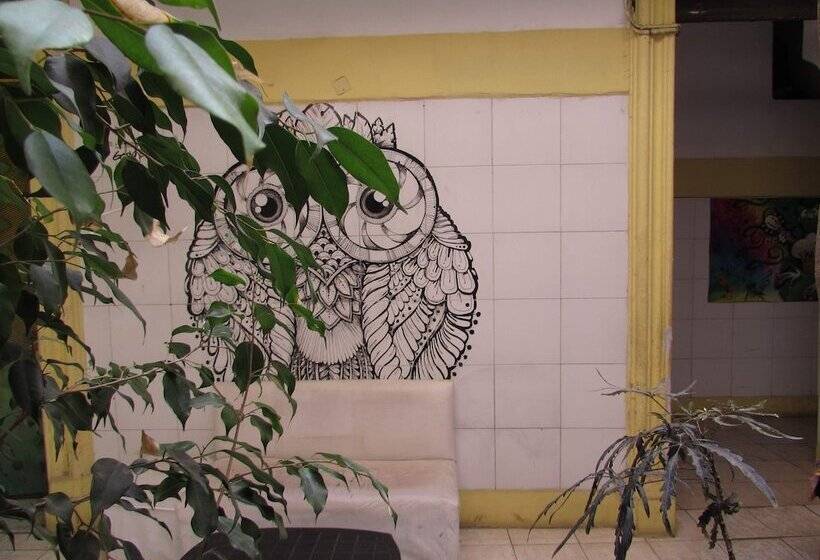 هاستل Hospedaje La Rana