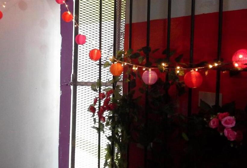 هاستل Hospedaje La Rana