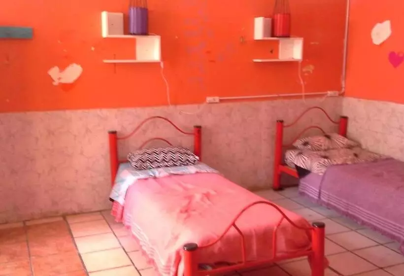 هاستل Hospedaje La Rana