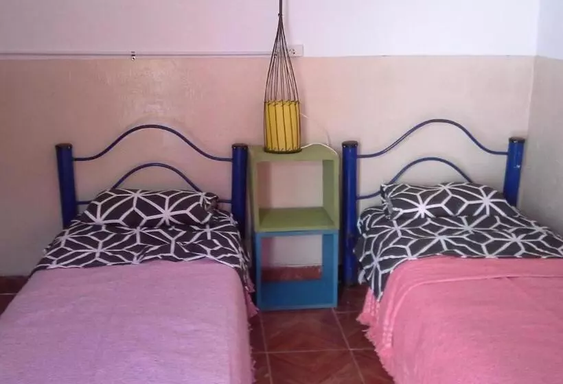 هاستل Hospedaje La Rana