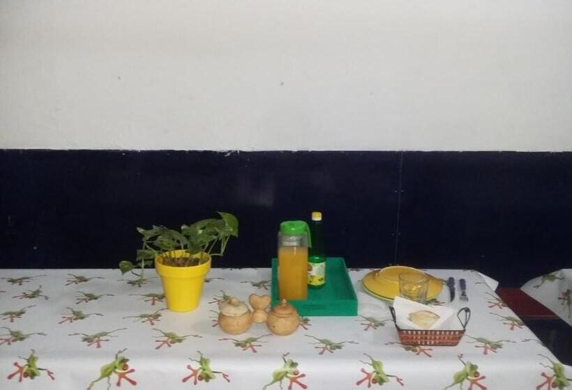 هاستل Hospedaje La Rana