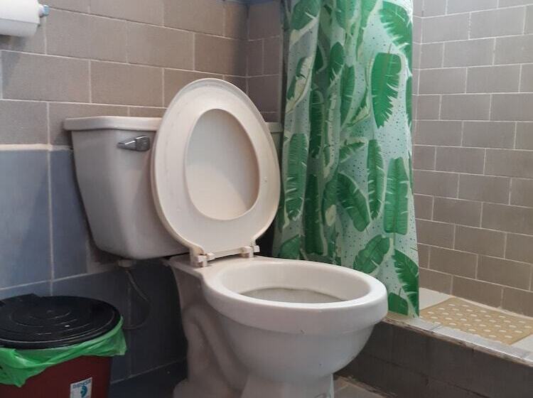 ユースホステル Transilvania