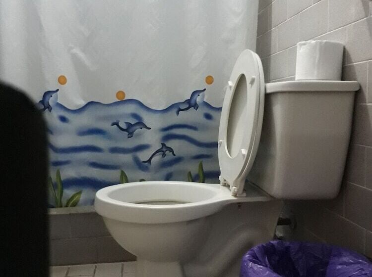 ユースホステル Transilvania