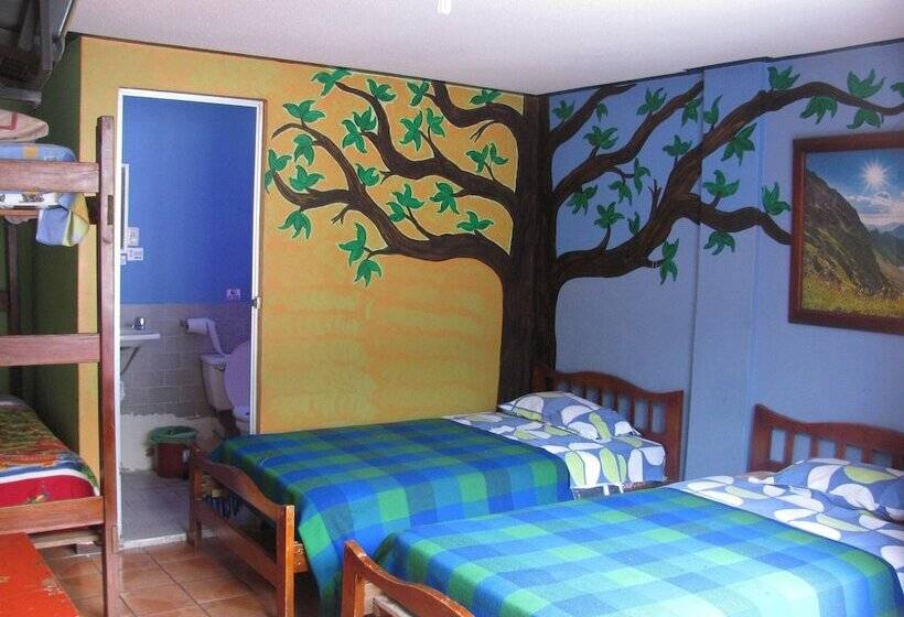 ユースホステル Transilvania