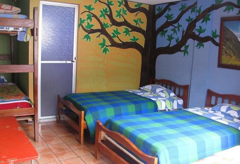 ユースホステル Transilvania