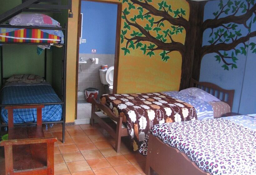 ユースホステル Transilvania