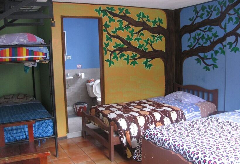 ユースホステル Transilvania