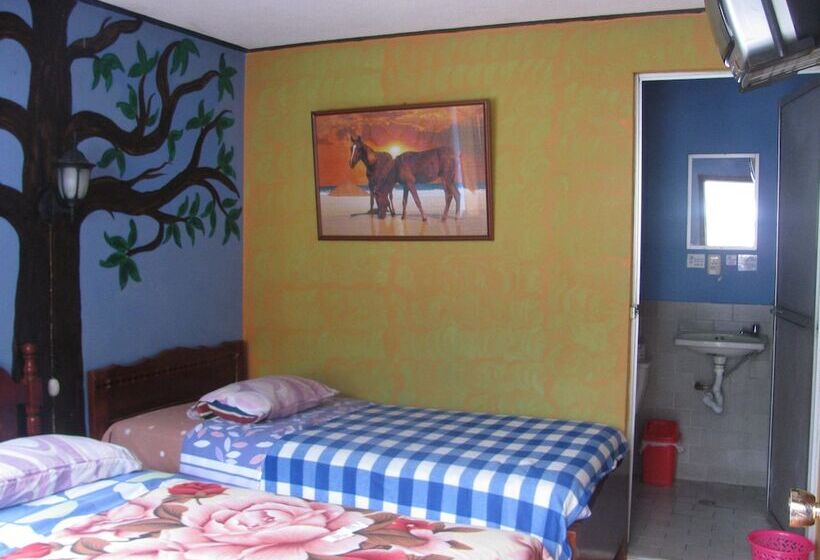 ユースホステル Transilvania