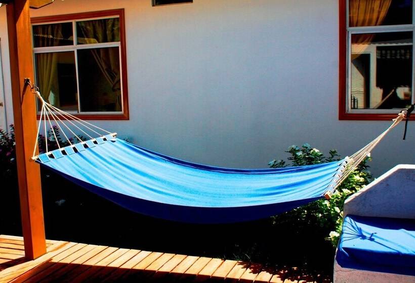 ベッドアンドブレックファースト Coral Blanco With High Speed Internet Starlink And Galapagos Tour Operator