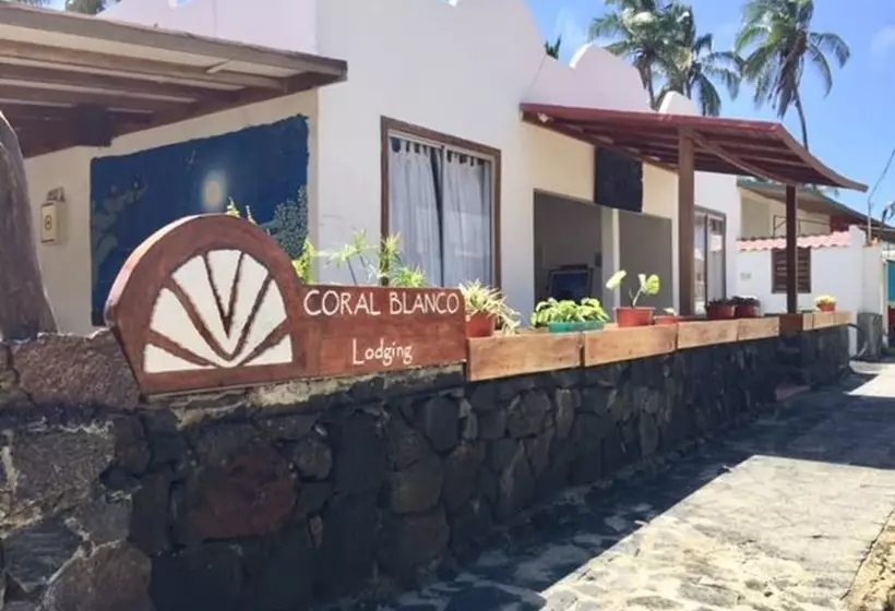 تختخواب و صبحانه Coral Blanco With High Speed Internet Starlink And Galapagos Tour Operator