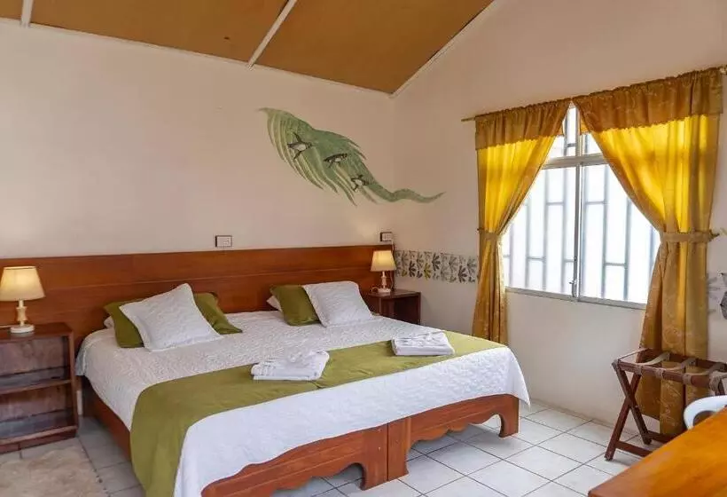 تختخواب و صبحانه Coral Blanco With High Speed Internet Starlink And Galapagos Tour Operator