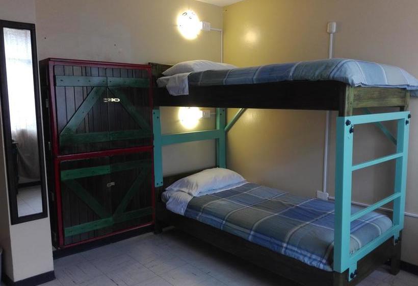 Bed and Breakfast Flying Donkey