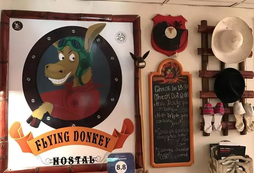 تختخواب و صبحانه Flying Donkey