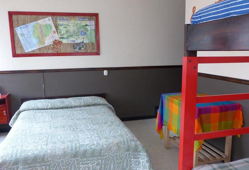 Bed and Breakfast Flying Donkey