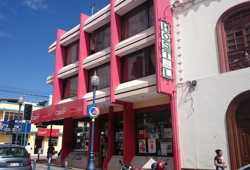 Bed and Breakfast Flying Donkey