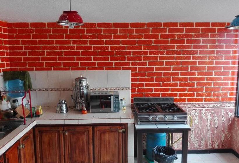 Bed and Breakfast Flying Donkey