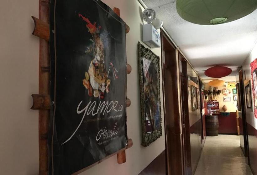 Bed and Breakfast Flying Donkey