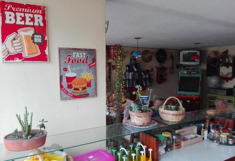 Bed and Breakfast Flying Donkey