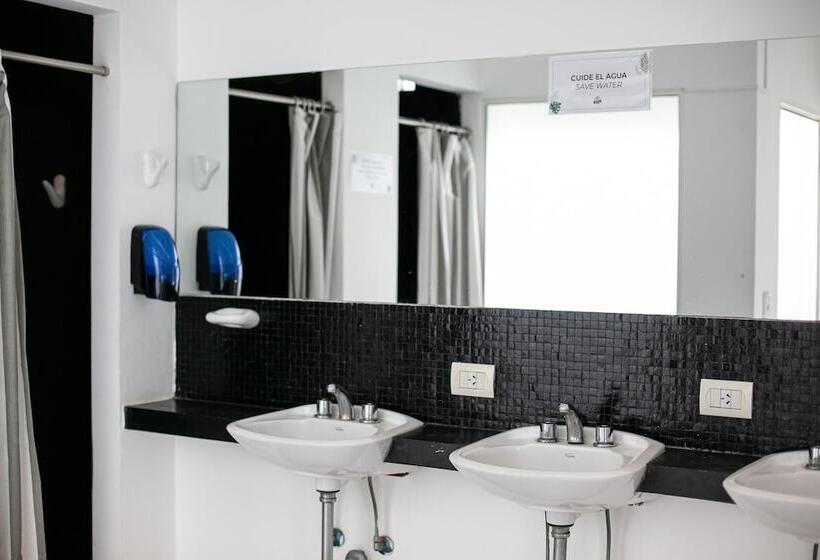 Bill & Bill San Telmo Hostel