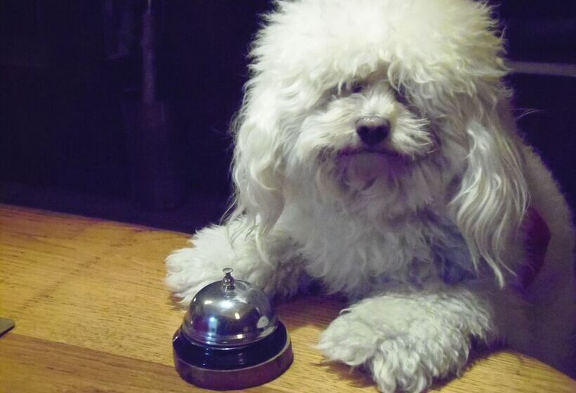 City Hotel Mar Del Plata