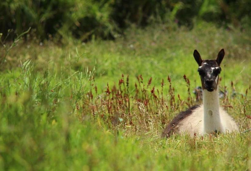 Hotel Hosteria Cananvalle