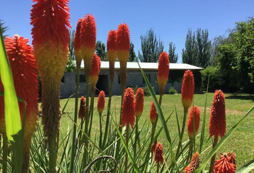 Otel Tikaykilla Lodge & Wines