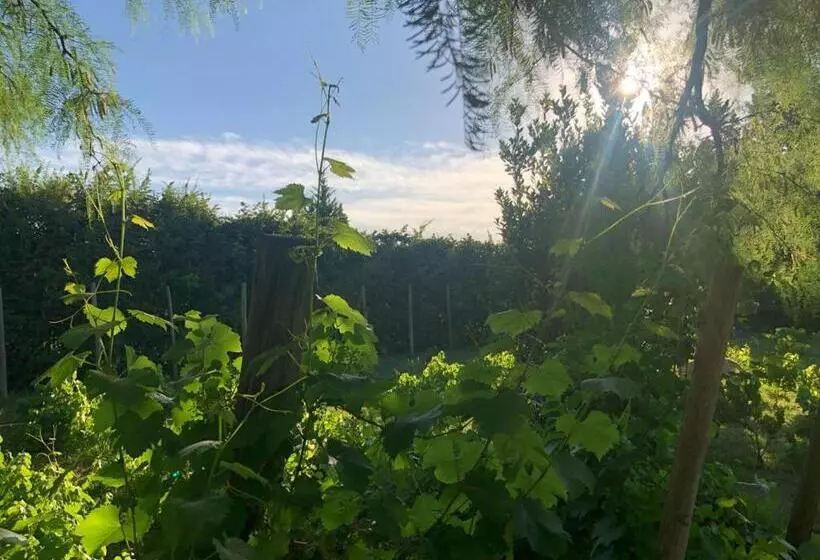 ホテル Tikaykilla Lodge & Wines