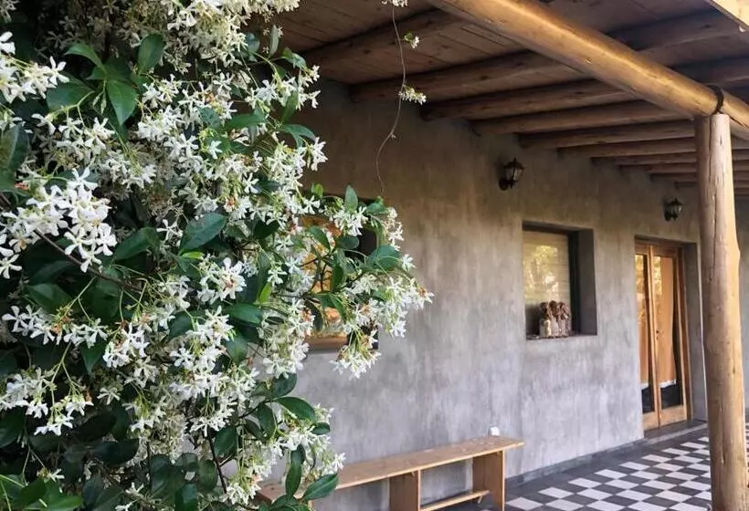 ホテル Tikaykilla Lodge & Wines