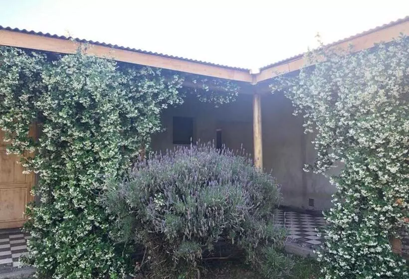 ホテル Tikaykilla Lodge & Wines