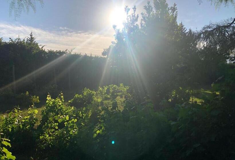 Otel Tikaykilla Lodge & Wines