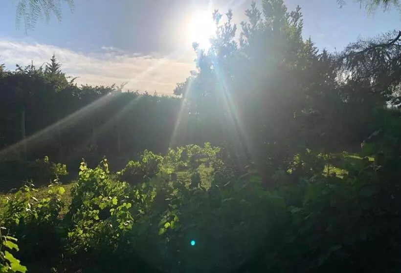 ホテル Tikaykilla Lodge & Wines