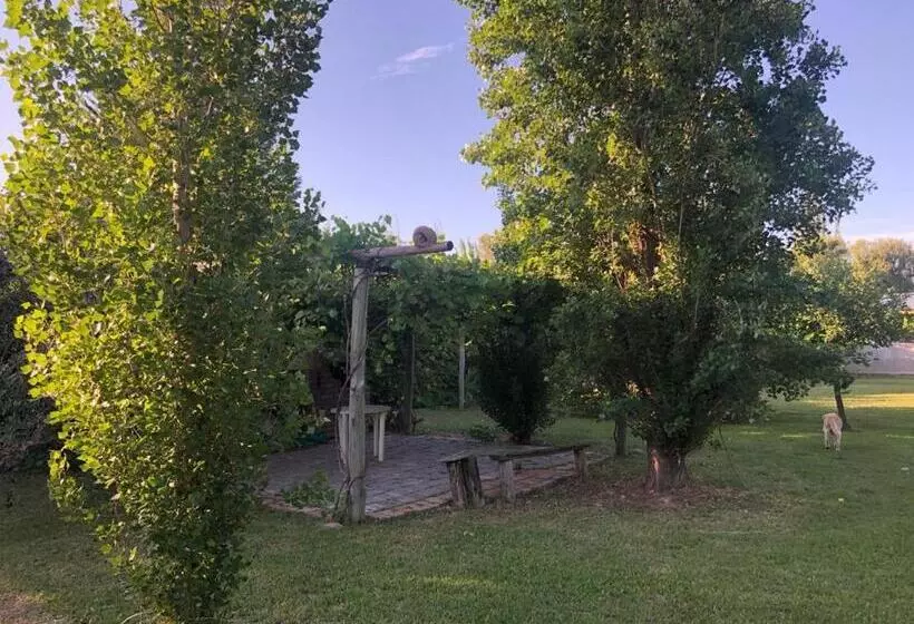 ホテル Tikaykilla Lodge & Wines