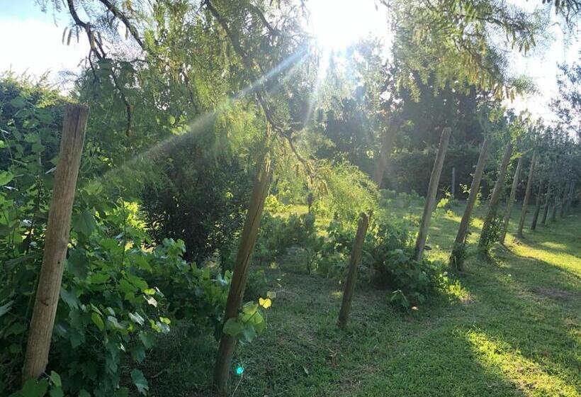 Otel Tikaykilla Lodge & Wines