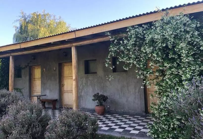 ホテル Tikaykilla Lodge & Wines