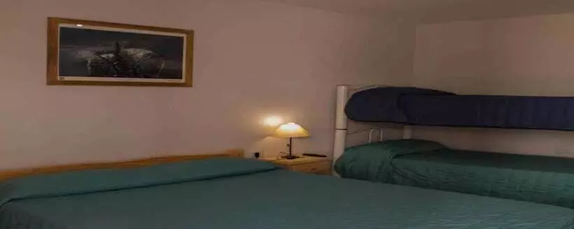 Loica Hostel
