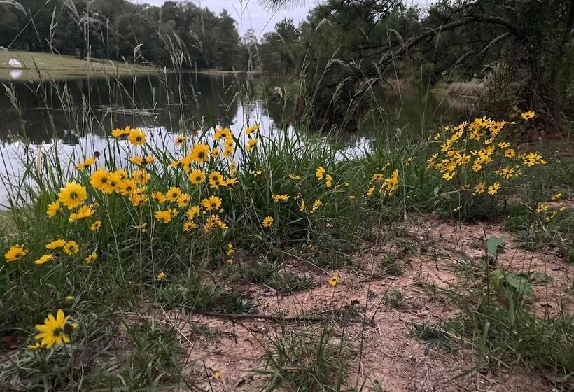 Adelines Bed And Breakfast