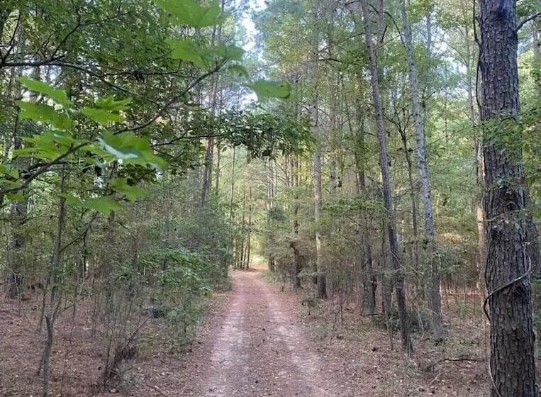 Adelines Bed And Breakfast