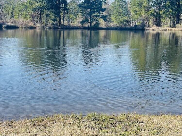 Adelines Bed And Breakfast