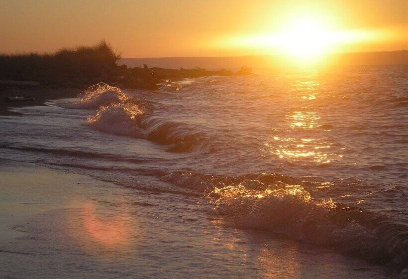 旅馆 Rustic Woodland Lodge