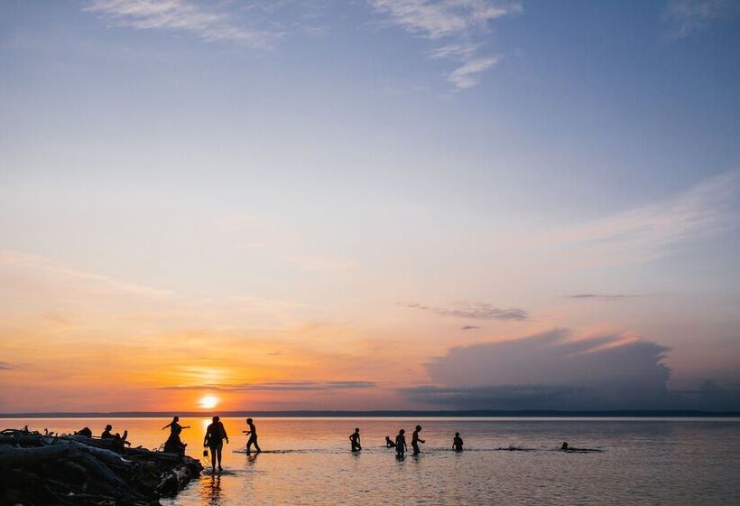 旅馆 Rustic Woodland Lodge