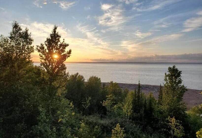 旅馆 Rustic Woodland Lodge