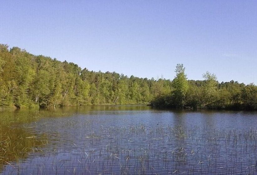 旅馆 Rustic Woodland Lodge