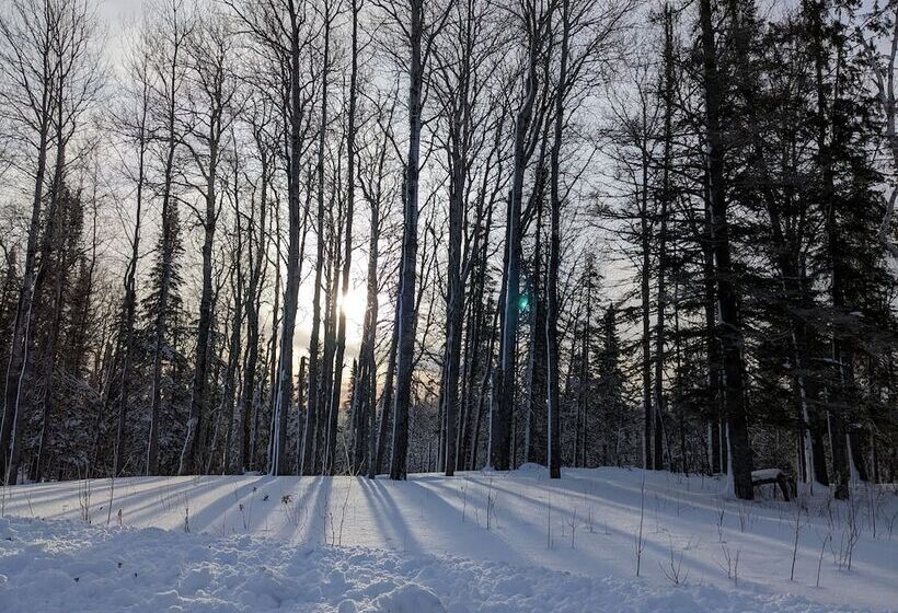 旅馆 Rustic Woodland Lodge