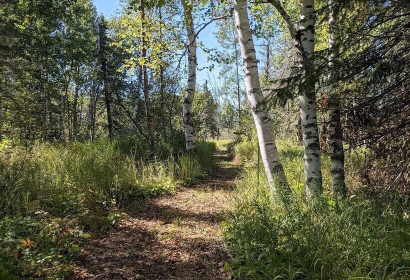 旅馆 Rustic Woodland Lodge