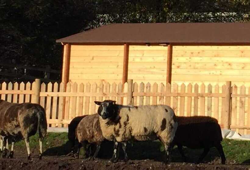 Cosy 1 Bed Farm Stay Cabin