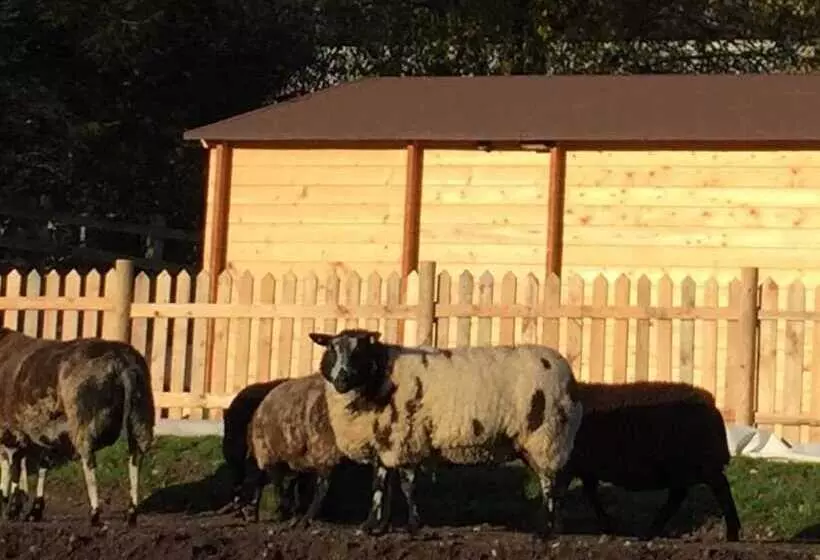 Cosy 1 Bed Farm Stay Cabin