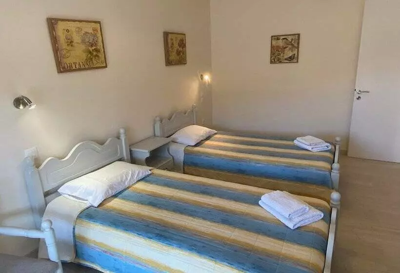 ホテル Nikos Cassiopeia Apartments